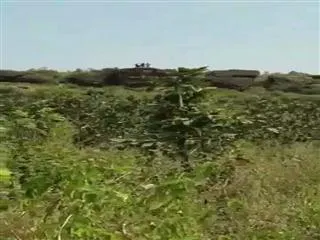 Bhopal encounter video emerged in online - Sakshi