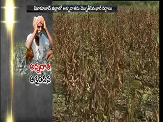 damage to farmers With heavy rains in nizamabad district - Sakshi