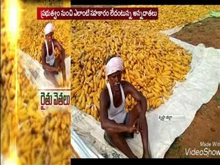 Corn farmers problems in ap - Sakshi