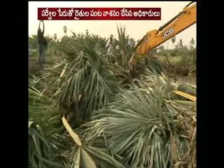 Agriculture fields destroyed by ap government in capital villages - Sakshi