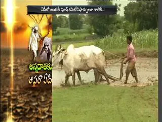 Indian Farmers Committing Suicide - Sakshi