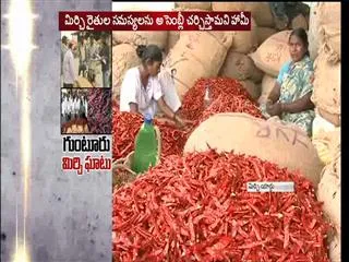 Mirchi Farmers facing severe problems - Sakshi