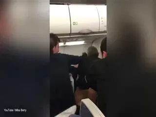 mid air fighting leads to emergency landing of flight - Sakshi