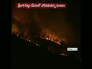 fire accident in seshachalam forest - Sakshi