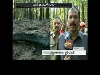 fire accident at Srivari mettu in Tirumala - Sakshi