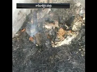 heavy fire accident in kadapa district - Sakshi