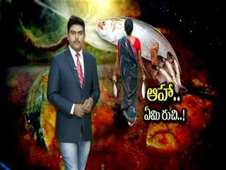 The Godavari coast has a pulasa season. - Sakshi