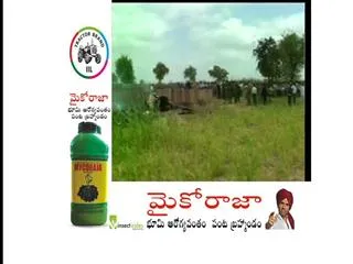 MiG-21 Aircraft Crashes In Rajasthan, Pilot Ejects Safely - Sakshi