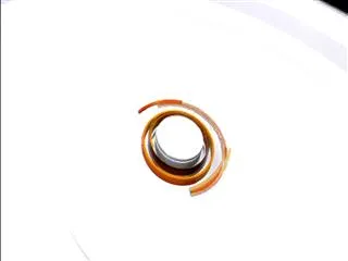 KSR Manasulo Maata with gaddar - Sakshi