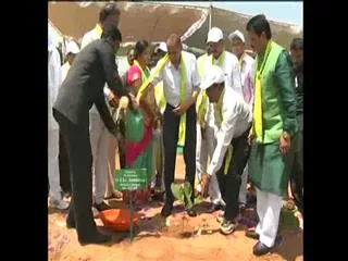 Governor Narasimhan  Participate In Haritha Haram - Sakshi