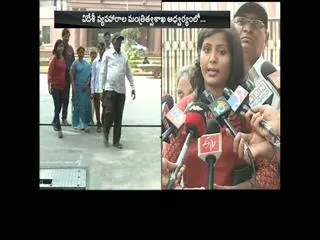 Khammam Couple To Undergo DNA Test To Claim Geeta Back - Sakshi