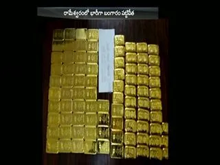 Gold Bars Worth 2.4 Crores Seized Near Rameswaram In Tamil Nadu - Sakshi