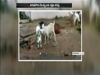 NO Security for haritaharam protection - Sakshi