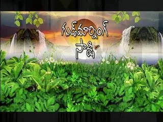 Good Morning Sakshi 7th November 2017 - Sakshi