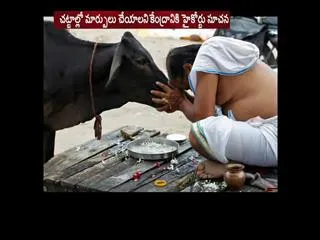 Make cow the national animal: Rajasthan HC to Centre - Sakshi
