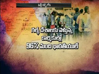 problems-of-indians-in-gulf-countries-raised-in-ls - Sakshi