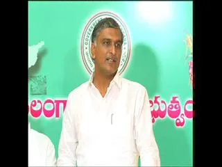 Minister Harish Rao Over Krishna Pushkaralu Arrangements - Sakshi