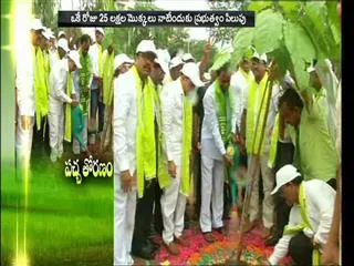 Green movement - Sakshi