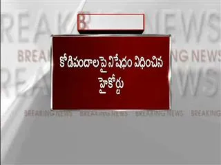 high court ban on hen-fights and Betting - Sakshi