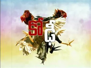 Betting persons on cock fights - Sakshi