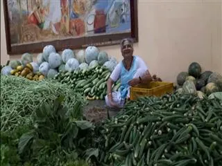 Sudha Murthy wife of Infosys Founder Narayana Murthy Sold Vegetables at Rayara mutt - Sakshi