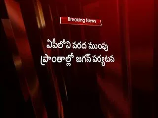 ys jagan to visit flood affected areas in guntur - Sakshi