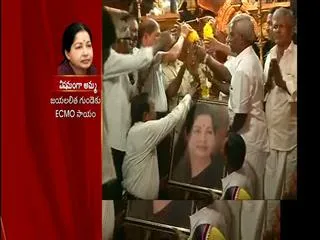 Praying for the speedy recovery of Jayalalitha, YS Jagan tweets - Sakshi