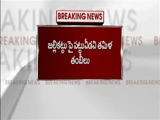 jallikattu protests continue in marina beach of chennai - Sakshi