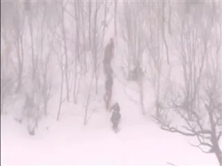 Japan avalanche kills seven students and teacher - Sakshi
