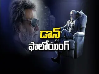 Special Drive || Don Following - Sakshi