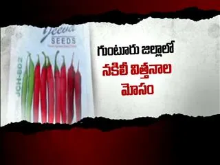 Fake seeds massive loss in guntur - Sakshi