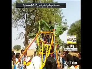 pongal celebrations startetd in karnool district - Sakshi