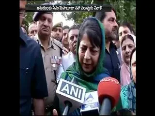 Kashmir Martyr's Day: Mehbooba appeals to maintain peace in valley - Sakshi