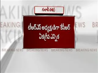 KCR unanimously re elected TRS President - Sakshi