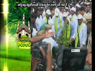governor Narasimhan launches Haritha Haram in BHEL - Sakshi