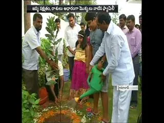 CM KCR and Family Participates in Haritha Haram at Cm camp Office - Sakshi