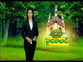 Daily intelligence reports on harithaharam works - Sakshi