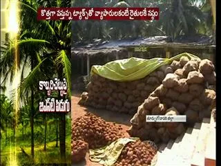 GST effect on kerala cocunut plants - Sakshi