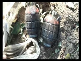 Grenade Bombs Found In Karimnagar - Sakshi