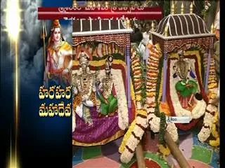 Mahasivaratri celebrations in srisailam - Sakshi