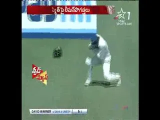 Darren Lehmann Hails 'Don Bradman-like' Steve Smith - Sakshi