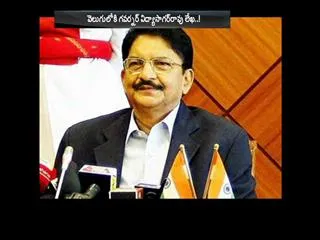 TN Governor Vidyasagar Rao Writes Letter To Rajanath Singh - Sakshi