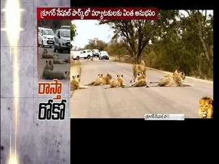 Video of lion goes viral on youtube - Sakshi