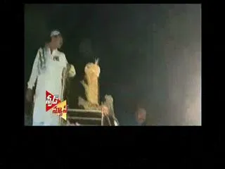 Pakistani crorepati fulfils son's dream of grand wedding, arrival sitting on a lion - Sakshi
