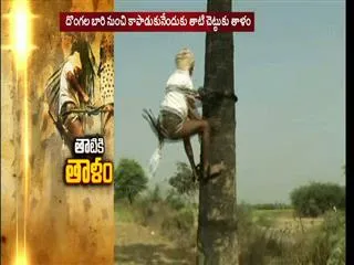 man puts lock for  tree - Sakshi