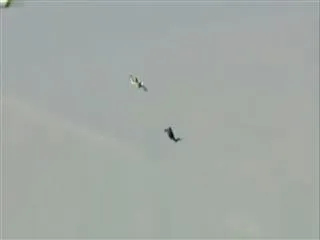 Daredevil Luke Aikins jumps from height of 25,000 feet without a parachute - Sakshi