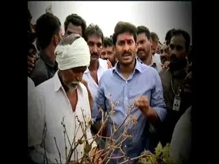 YS Jagan demands compensation for farmers - Sakshi