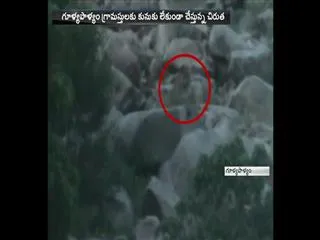 leopard in Vajrakarur - Sakshi