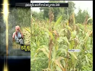 ensured that the compensation this time - Sakshi