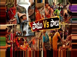 sakshi special edition on  nagula chavithi - Sakshi